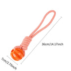 Interactive Rope Rubber Leaking Balls for Small Medium Dogs
