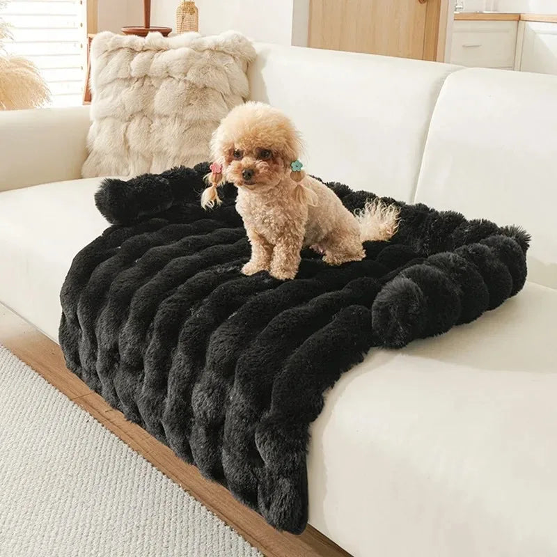 Cushion Bedding for Large, Medium and Small Dogs