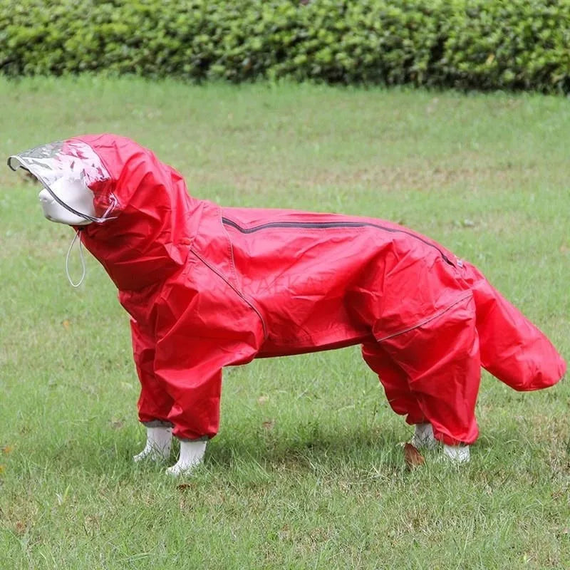 Medium to large dog all inclusive raincoat.