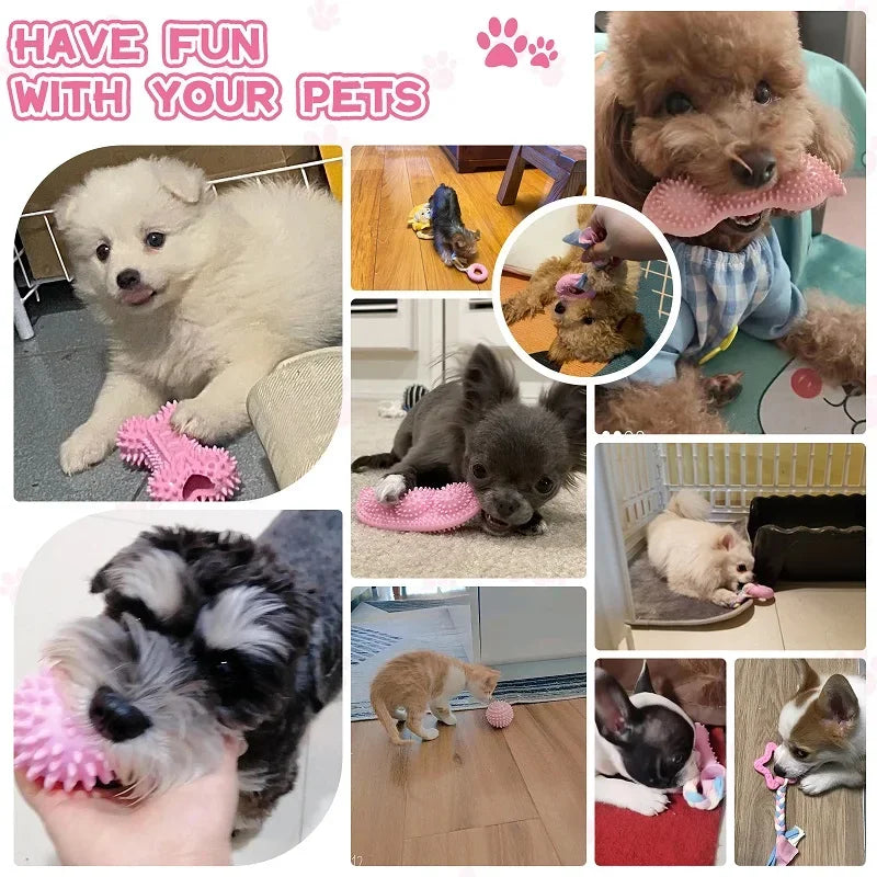 Cleaning Teeth Pink Soft Rubber Bone Funny Ball Interactive Donut Treat Set for Small Dogs