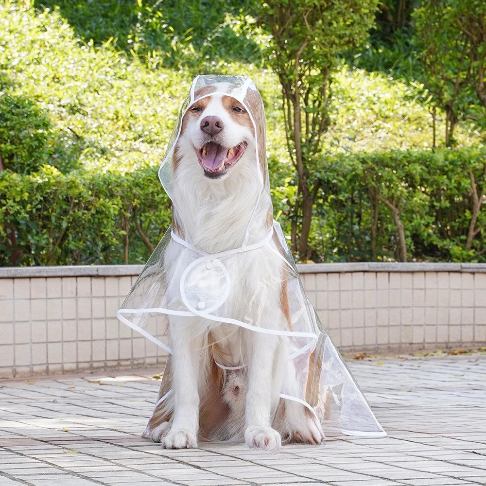 Transparent Pet Raincoat Comprehensive Medium and Large dogs