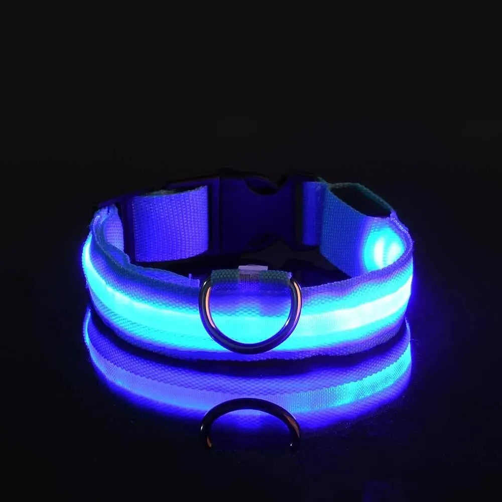 Nylon LED Night Safety Glow In The Dark Dog Leash Luminous Fluorescent Collar