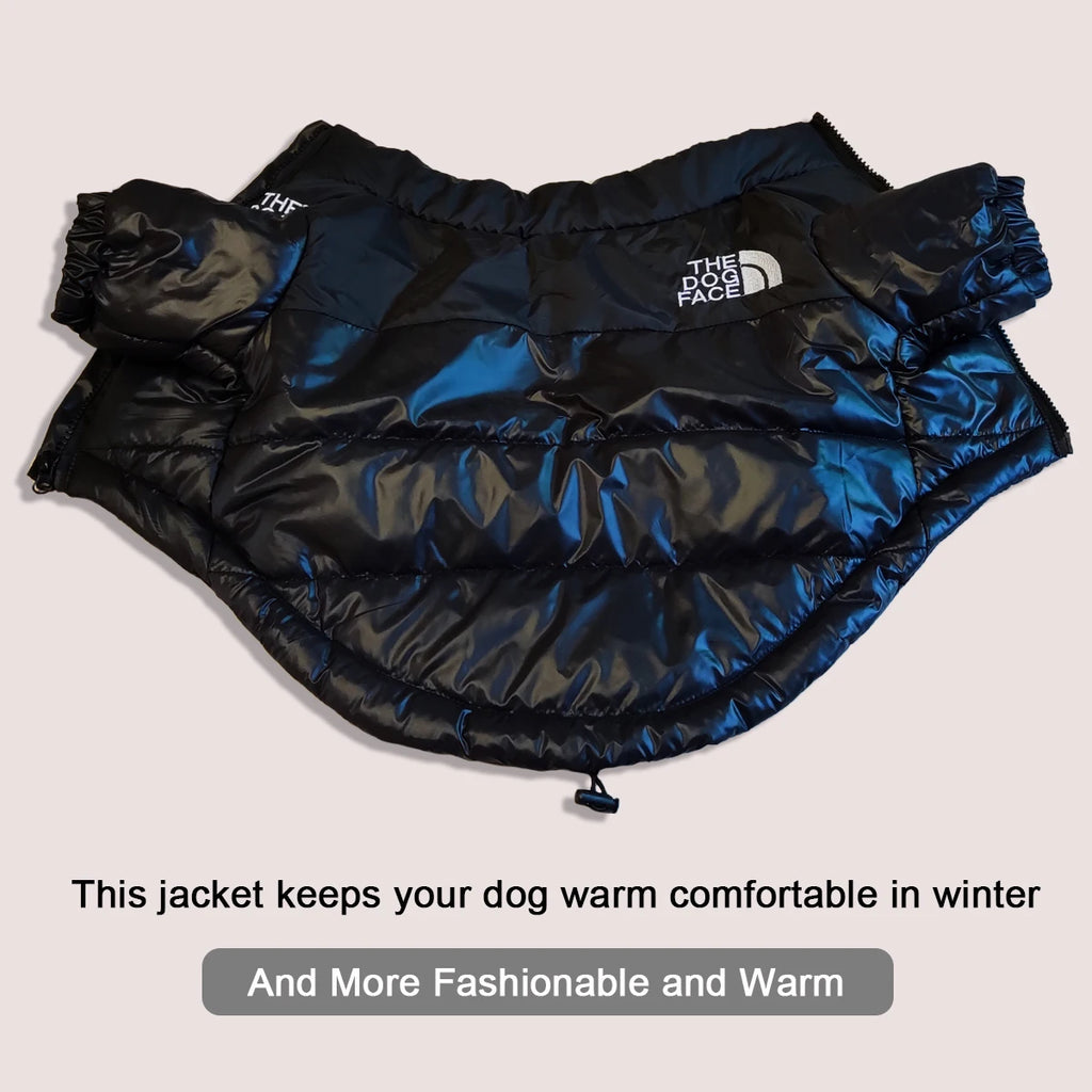 Windproof Jacket Small Medium Dog Reflective Pet Outfits
