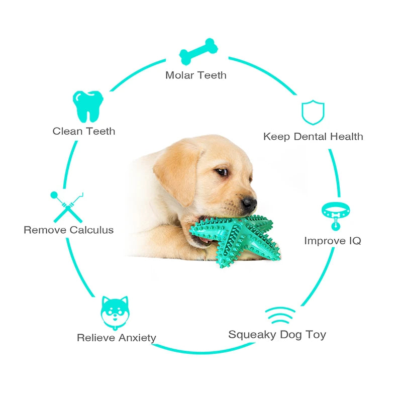 For Large Dogs Tooth Cleaning Chew Funny Interactive Training Starfish Toy