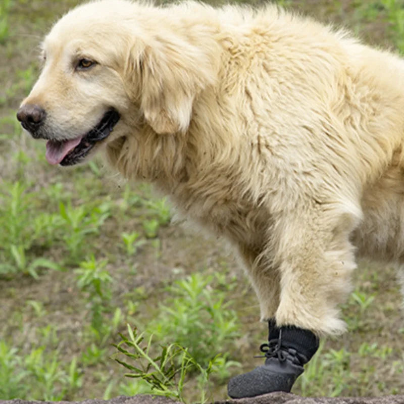 Dog Shoes Do Not Fall Off Breathable Soft Sole Footwear