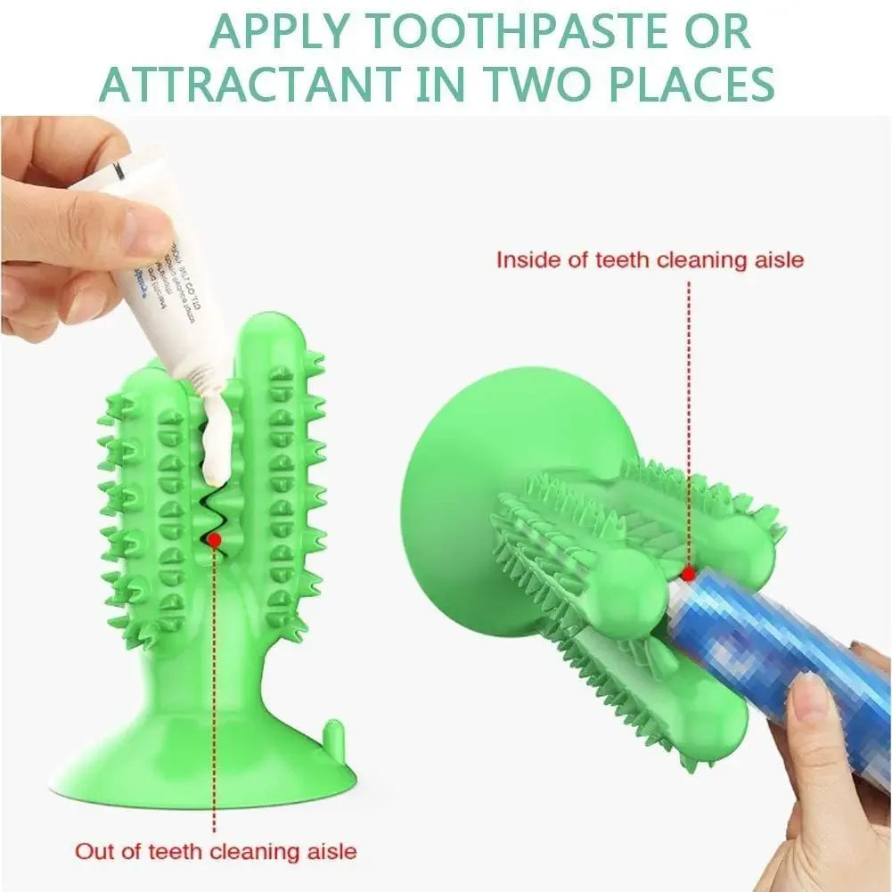 Toothbrush for Dogs Interactive Training IQ Teeth Cleaning for Small Medium Large Dogs