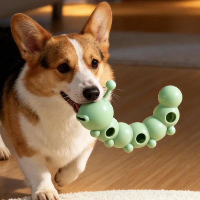 Pet Treat Dispenser Cookie Shaped