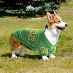 Basketball Jersey Mesh Breathable for Dogs