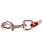 3M/5M/10M Pet Leashes For Two Dogs Tie Out Cable Outdoor Steel Wire