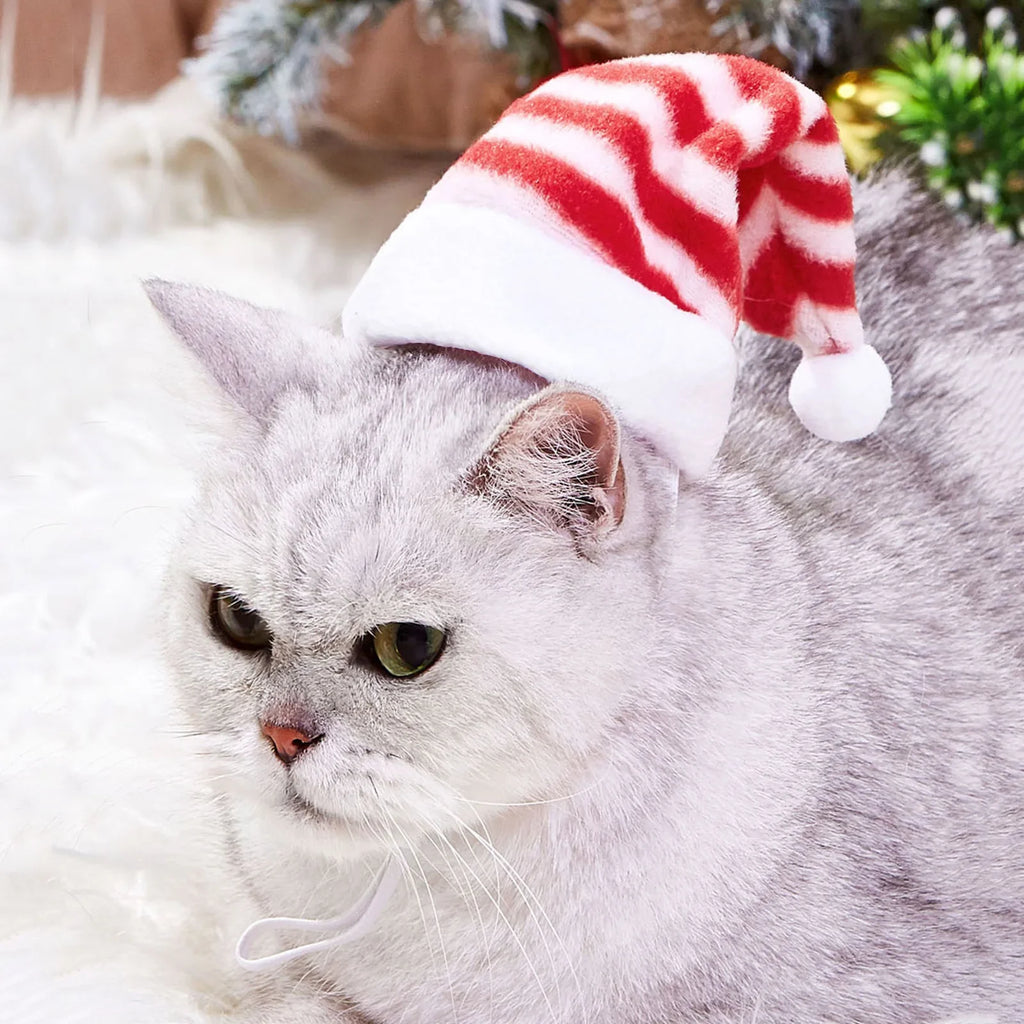 Dog Christmas Hat Cap Puppy Dog Accessories for Small Dogs Pet Supplies