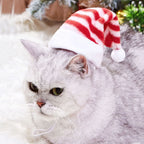 Dog Christmas Hat Cap Puppy Dog Accessories for Small Dogs Pet Supplies
