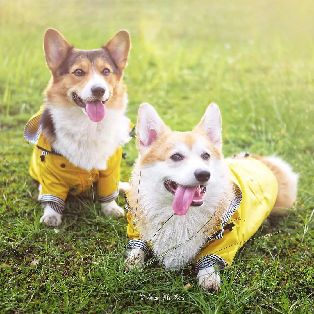 Dog Raincoat Pet Waterproof Jacket Bulldog Windbreaker Poodle Pug Bichon Puppy Coat Rainwear PU S-5XL High Quality Dog Raincoat