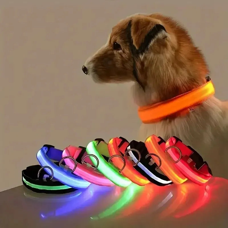 Nylon LED Night Safety Glow In The Dark Dog Leash Luminous Fluorescent Collar