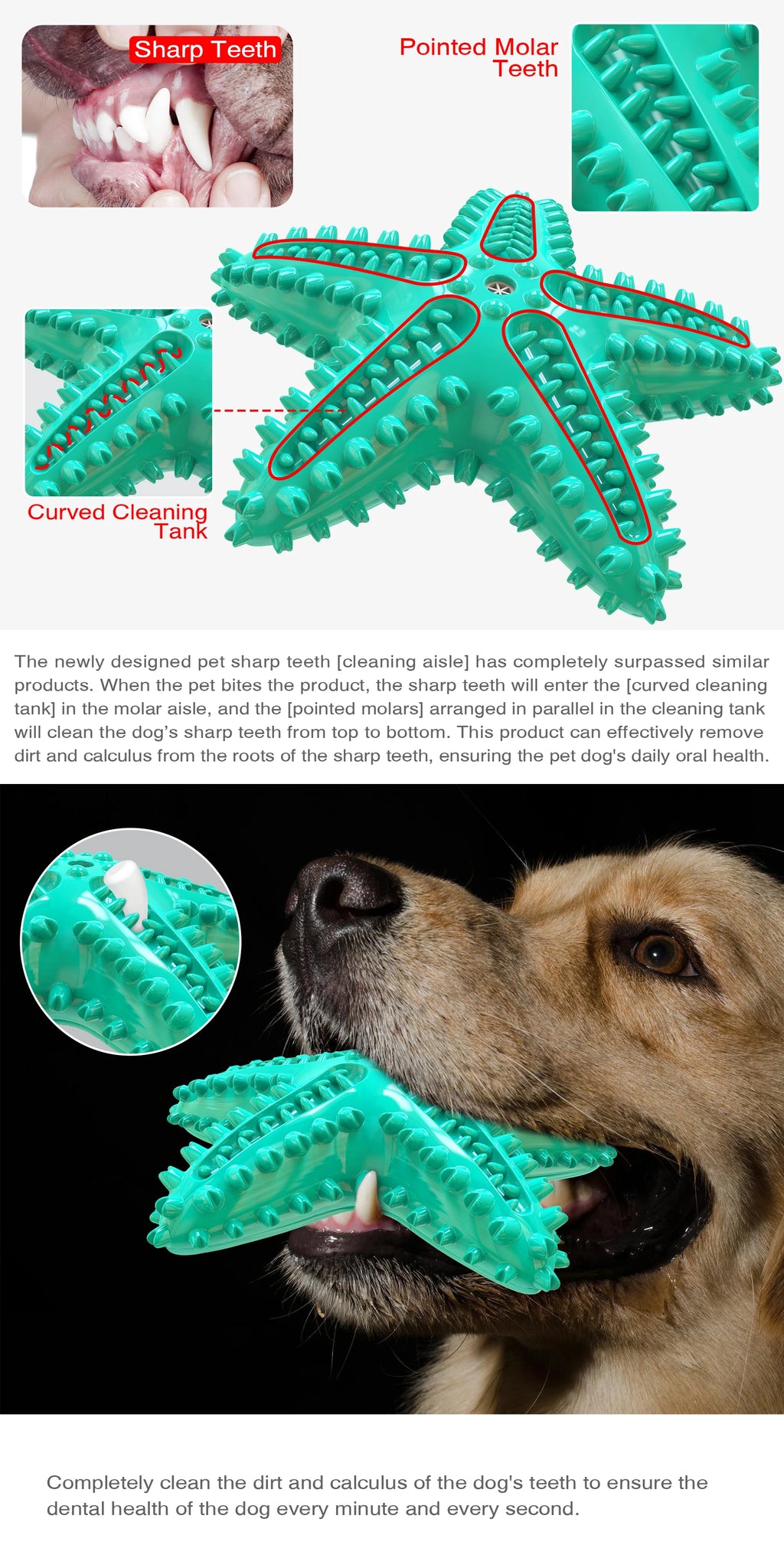 For Large Dogs Tooth Cleaning Chew Funny Interactive Training Starfish Toy