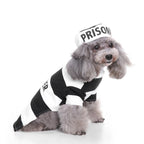 Dog Christmas, Halloween, Clown Chihuahua Costume