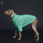 Spring Sweater with Sleeves, Cable Knit, D-ring Hole Detail for Dogs