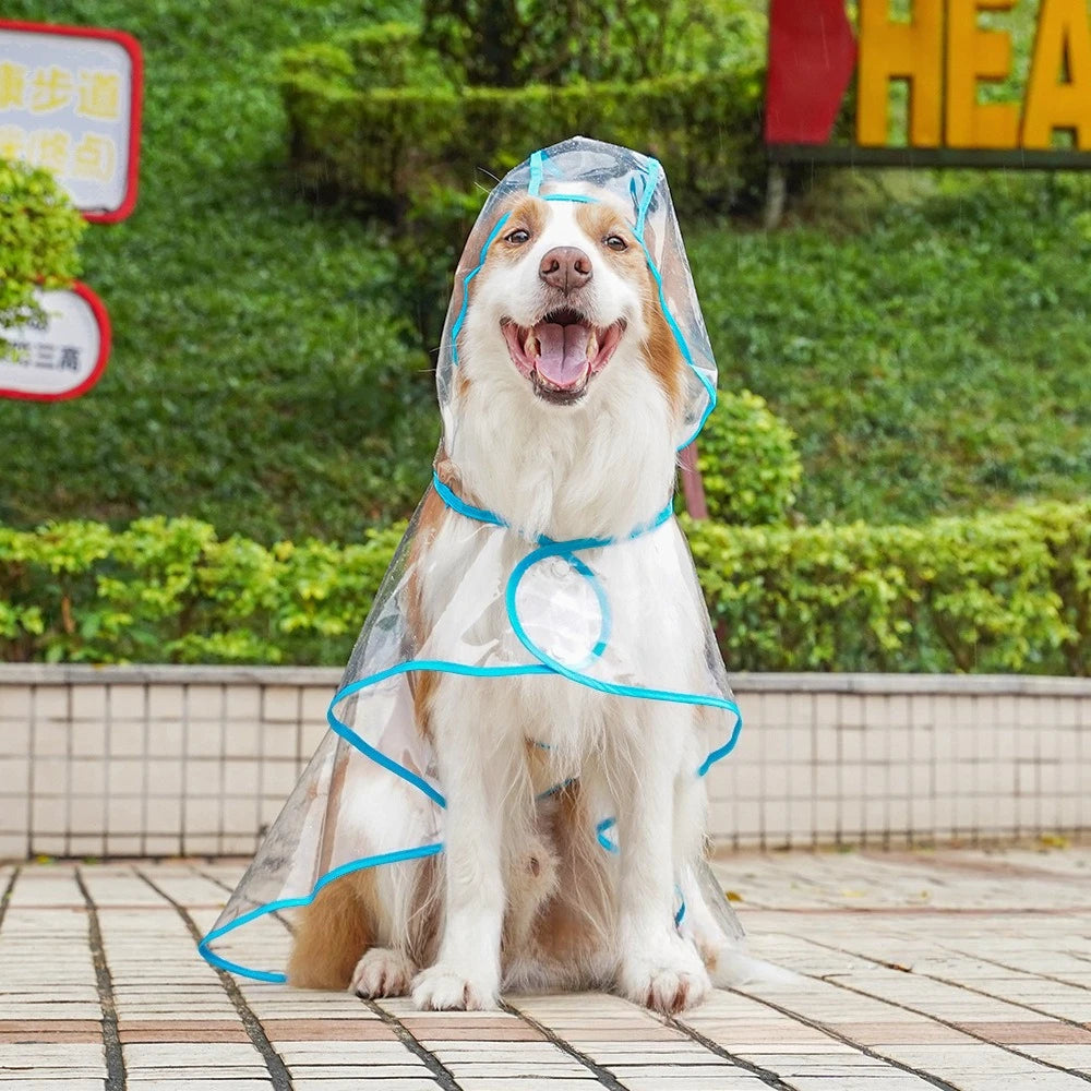 Transparent Pet Raincoat Comprehensive Medium and Large dogs