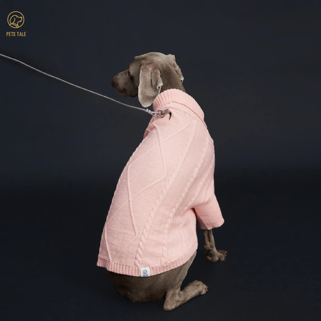 Spring Sweater with Sleeves, Cable Knit, D-ring Hole Detail for Dogs