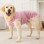 Summer Sleeveless Vest Pajamas