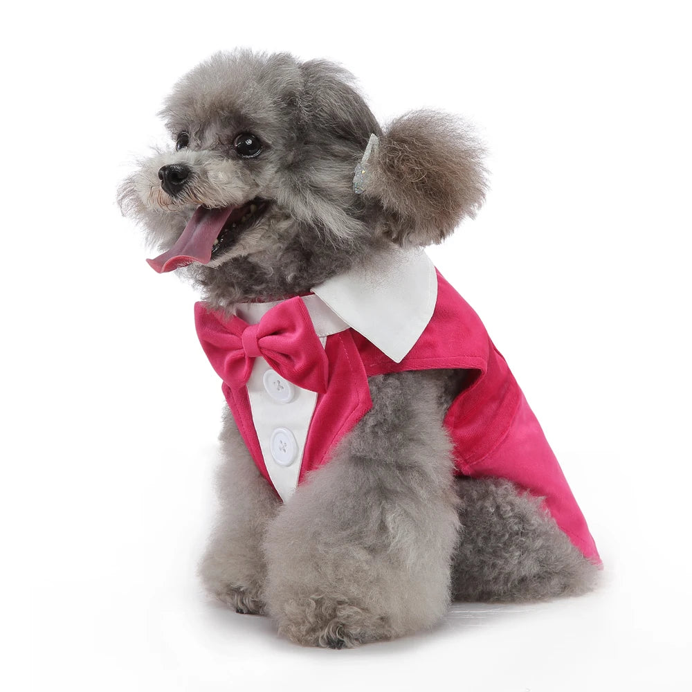 Christmas Tuxedo Halloween Wedding Outfit
