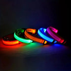 Nylon LED Night Safety Glow In The Dark Dog Leash Luminous Fluorescent Collar