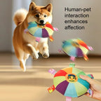 Squeaky, Fetch Toy for Dogs Chew Toys for Boredom