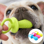 Small Dog Toy Teeth Cleaning Chew Training Toys Pet Supplies
