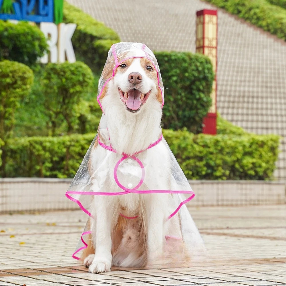 Transparent Pet Raincoat Comprehensive Medium and Large dogs