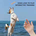 Dog Rod Wooden Chewing Toy Natural Coffee Wood
