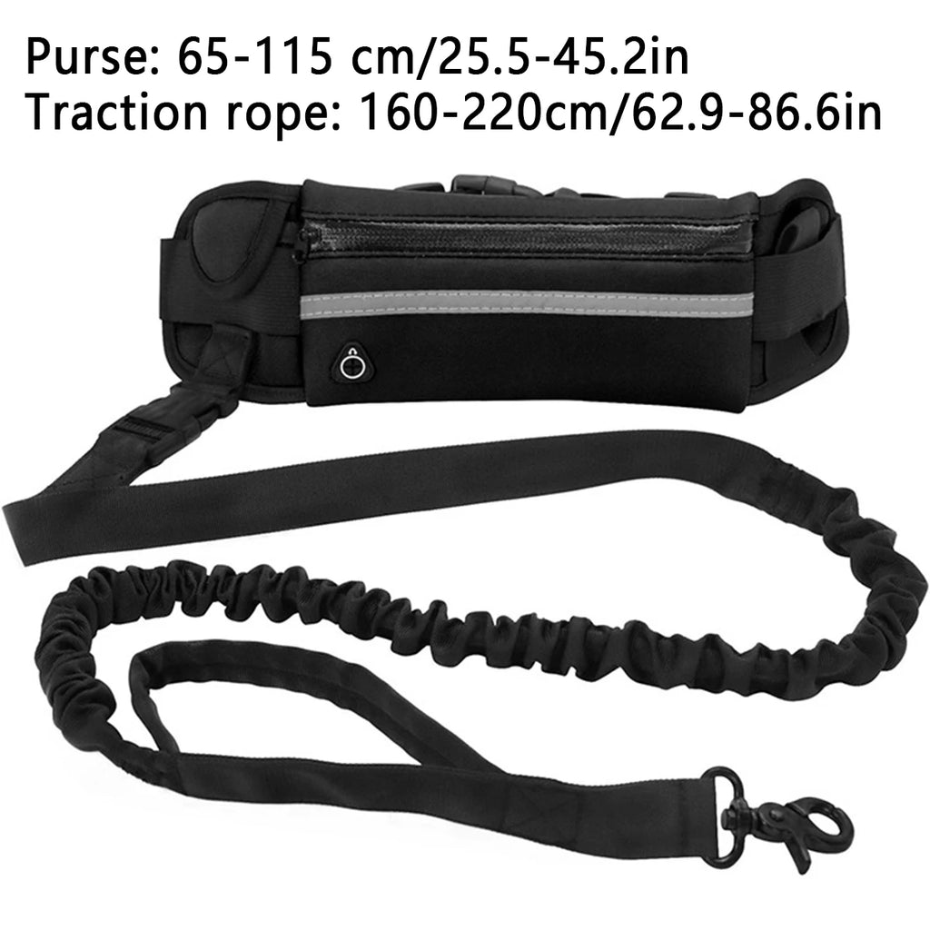 Hands Free Dog Leash Reflective Leash with Waist Bag Retractable Elastic Belt Rope for Running