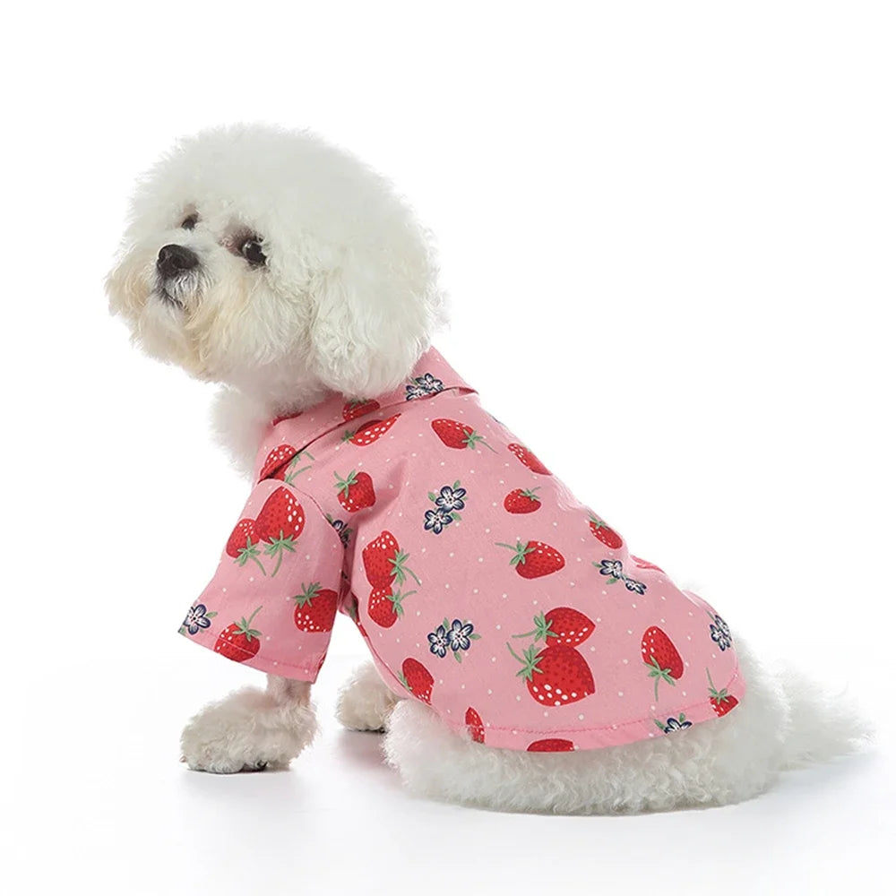 Fruit Printed Shirts Thin Clothing for Small Dog Outfits