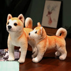 Soft Interactive Dog Toy