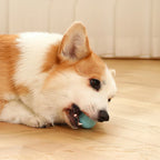 Electric Smart Puppy Ball Toy