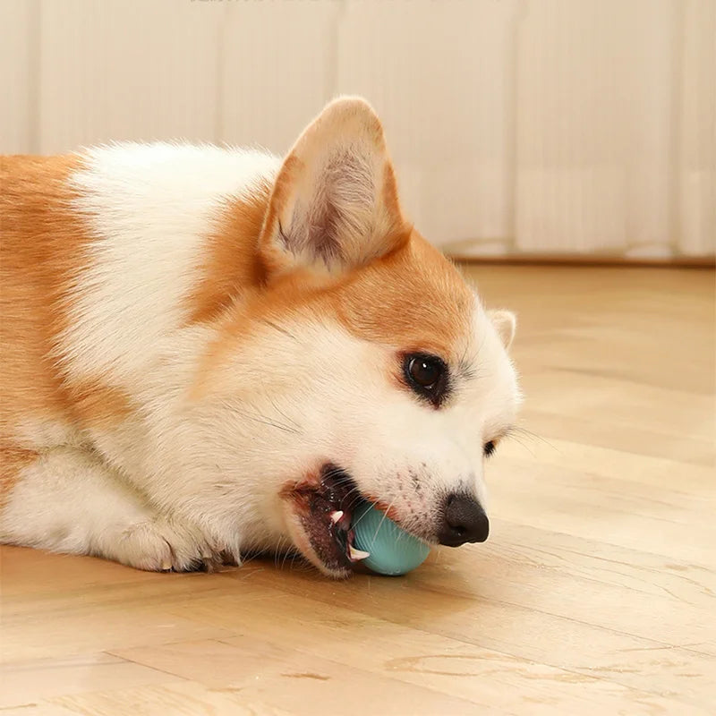 Electric Smart Puppy Ball Toy