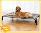 Elevated breathable Dog Bed