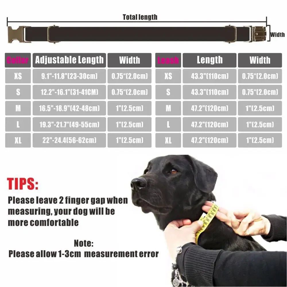 Personalized Dog Collar with Free Engraving, Matching Pet Leash, Metal Buckle, Light Brown