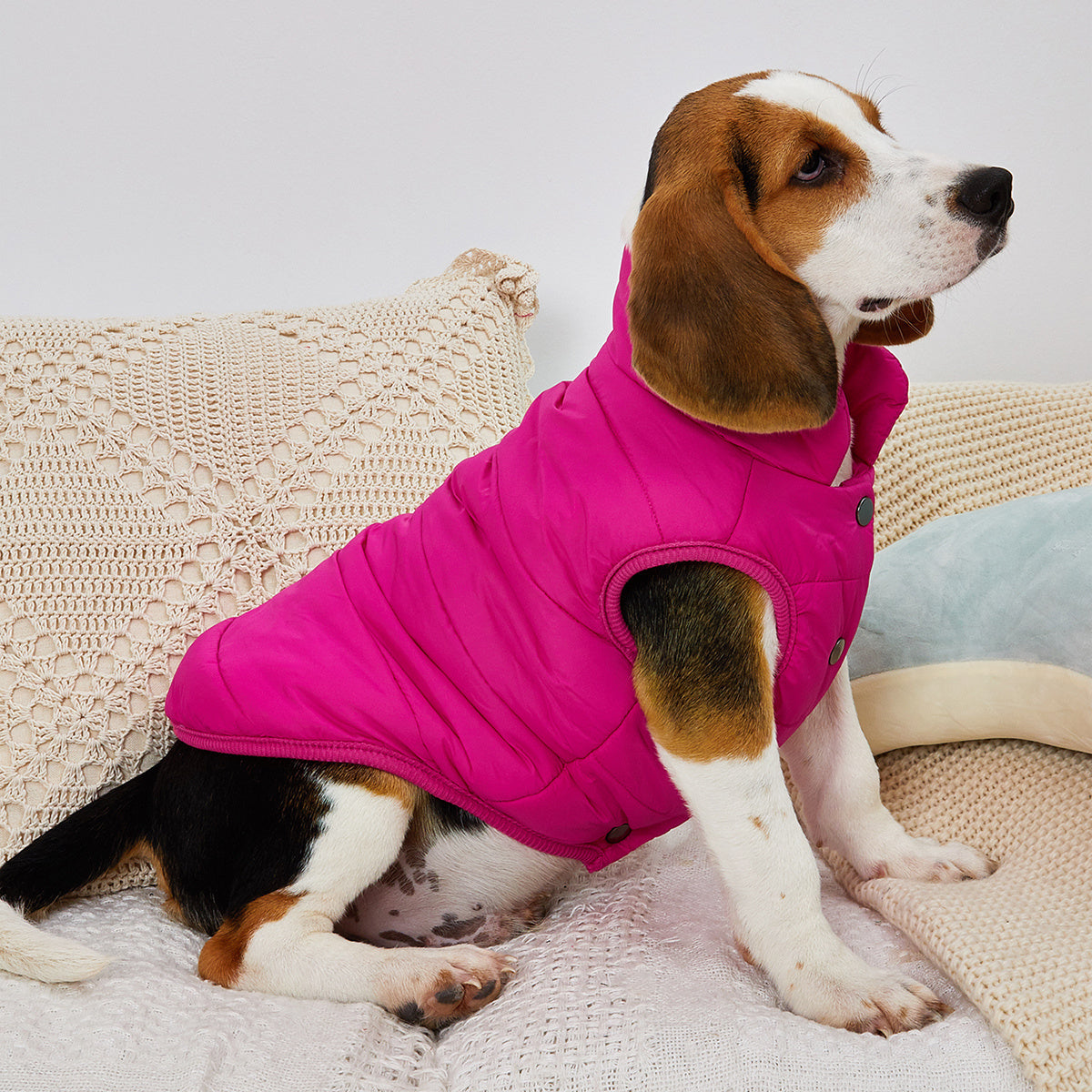 Small Med Solid Color Winter Warm Thickened Padded Pet Jacket Soft Comfortable