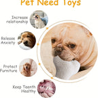 5-Pack Squeaky Dog Toy Set - No Stuffing and Plush Toy Squeakers