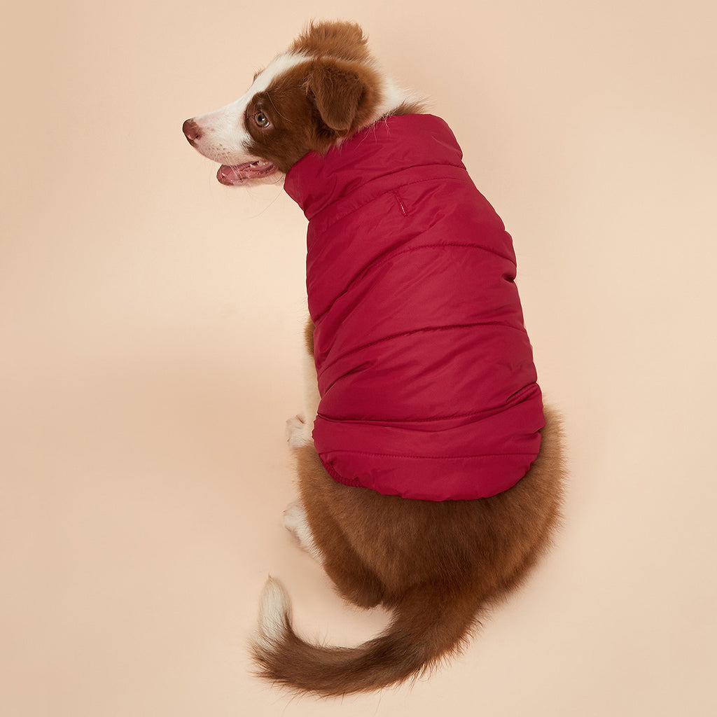 Small Med Solid Color Winter Warm Thickened Padded Pet Jacket Soft Comfortable