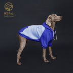 Dog Hooded Sweatshirt Shirts Clothing