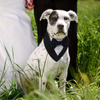 Dog Tuxedo, Formal Dog Wedding Bandana, Adjustable