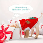 Small Medium Festive Christmas Costumes - Santa Claus Dog Suit with Hoodie