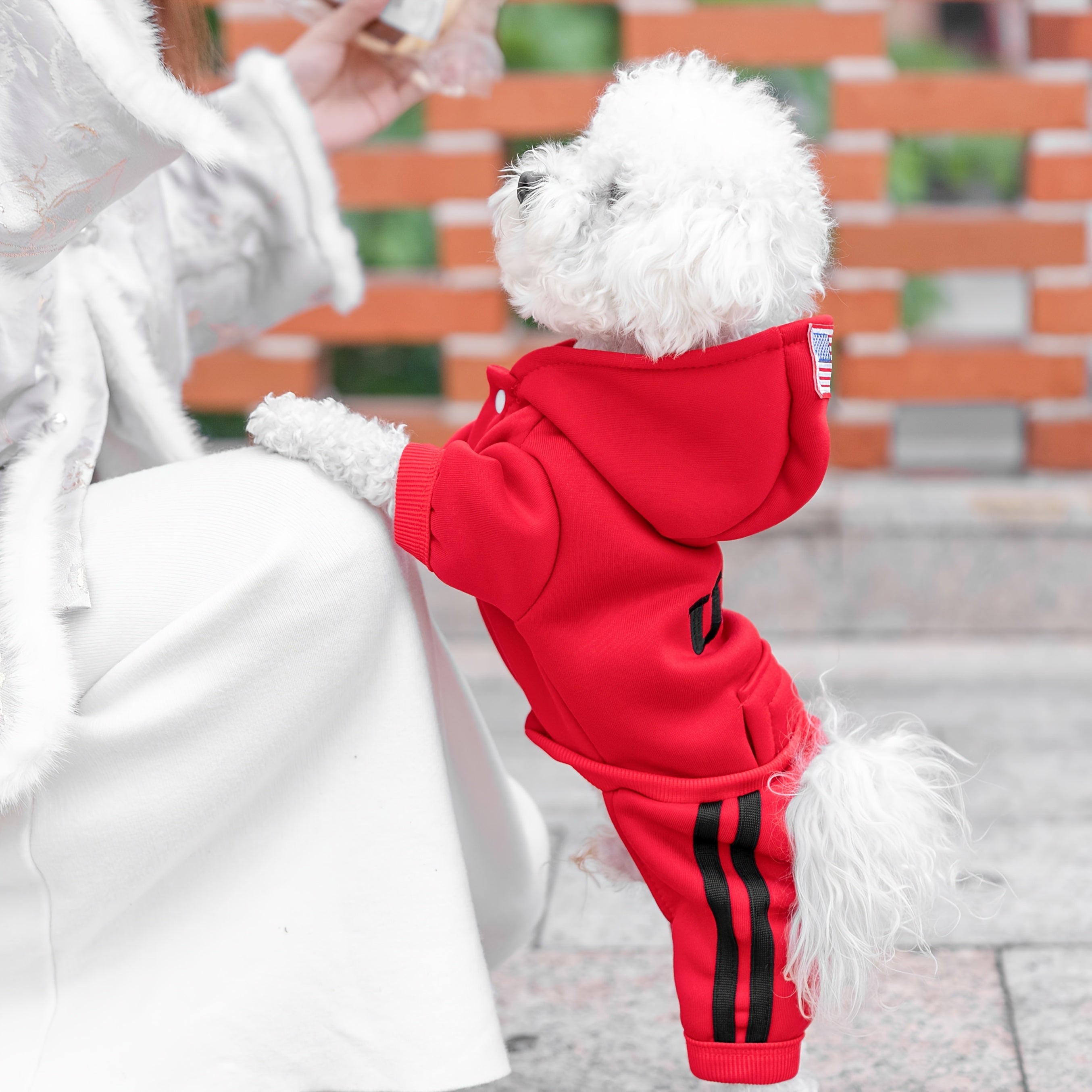 Small Med USA Winter dog hoodies with pockets, warm & soft