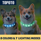 LED Light Up Collar Adjustable USB Rechargeable Bright Safety Glowing Light 3D Pattern