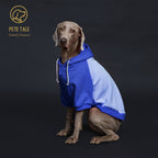 Dog Hooded Sweatshirt Shirts Clothing