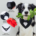 Dog Tuxedo, Formal Dog Wedding Bandana, Adjustable